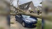 Stormschade