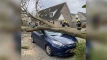 Stormschade
