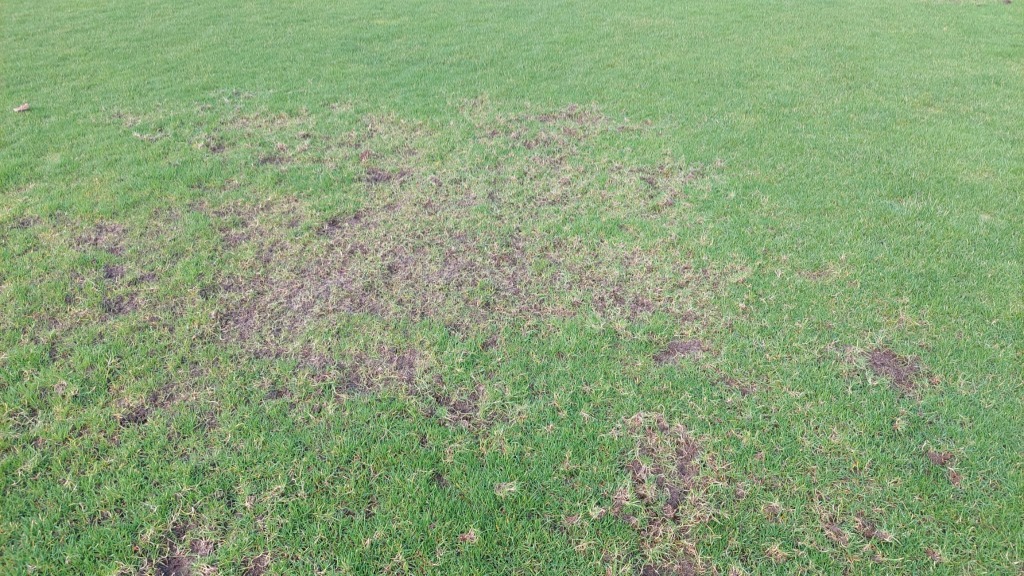 Hoofdveld Kickers ‘69 niet bespeelbaar, duel met Football Factoy op kunstgras