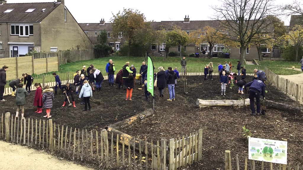 Tiny forest aangeplant in Leimuiden door leerlingen van IKC De Lei